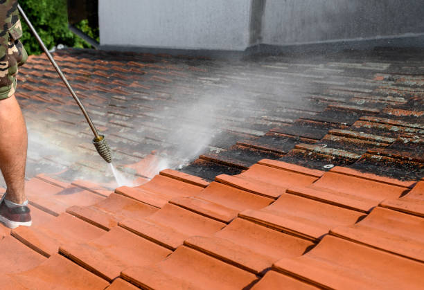 Best Pressure Washing Near Me  in Crab Orchard, WV
